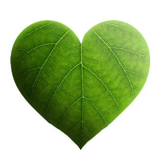 Measure fuel consumption and CO2 emissions